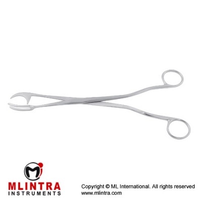 Rogge Sterilizing Forcep Stainless Steel, 30 cm - 12"